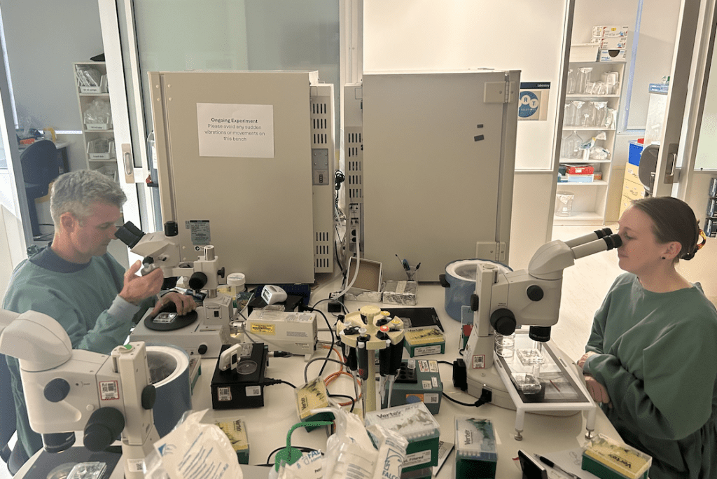 ART LAB SOLUTIONS Embryology Training Adelaide Australia
